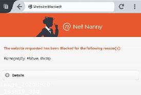 Net Nanny Secure Connection Failed Firefox