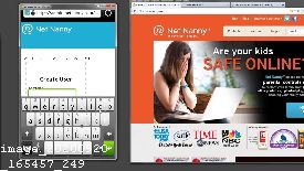 Reinstall Net Nanny
